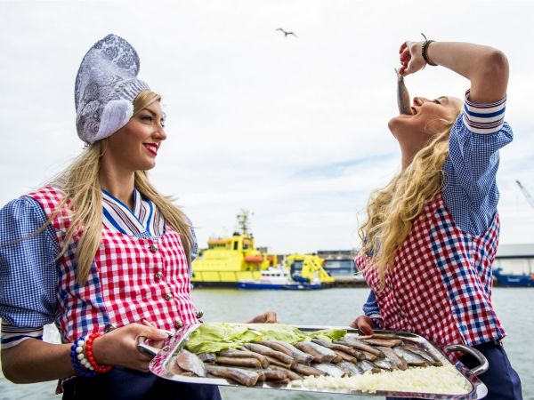 Fresh Dutch herrings at Café the Plaza's traditional ‘Haring Happen' event