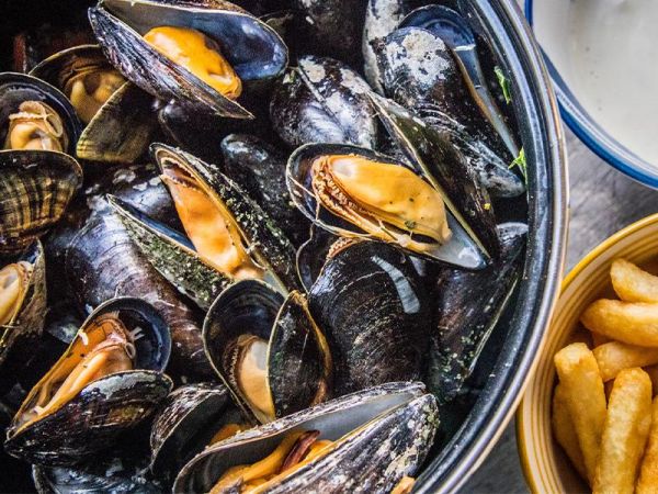 Zeeuwse Mussels Are Back at Que Pasa Restaurant & Winebar